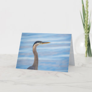 Great Blue Heron Wildlife Bird Photography Blank Holiday Card