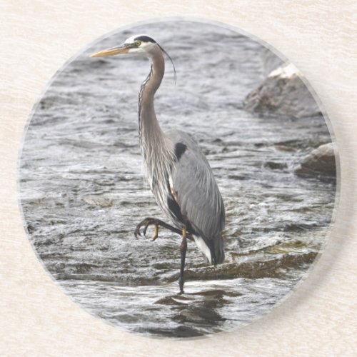 Great Blue Heron Wildlife Birdlover Photo Sandstone Coaster