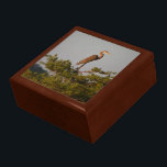 Great Blue Heron Wildlife Nature Photograph Gift Box<br><div class="desc">Nature photography capturing a stunning profile of beautiful Great Blue Heron standing on the top of a tree.</div>