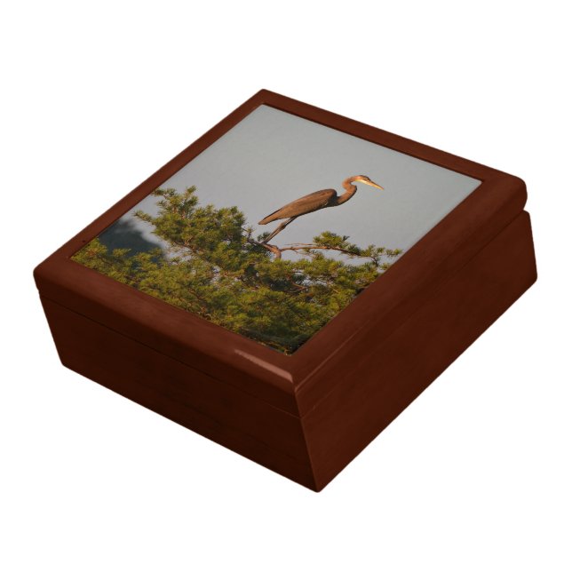 Great Blue Heron Wildlife Nature Photograph Gift Box (Side)