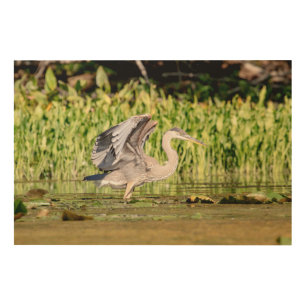 Great Blue Heron Wood Wall Art