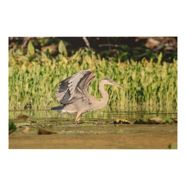 Great Blue Heron Wood Wall Art (Front)