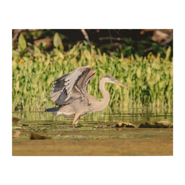 Great Blue Heron Wood Wall Decor (Front)