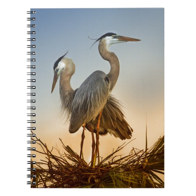 Great Blue Herons at Sunrise Notebook (Front)
