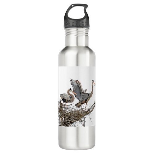 Great Blue Herons Bulding a Nest Stainless Steel Water Bottle