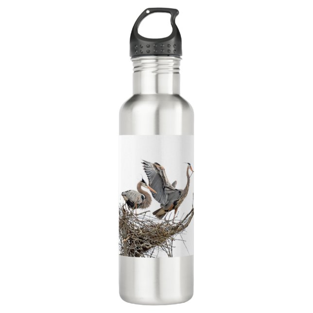 Great Blue Herons Bulding a Nest Stainless Steel Water Bottle (Front)