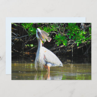 Great Blue Heron's Lunch Flat Card