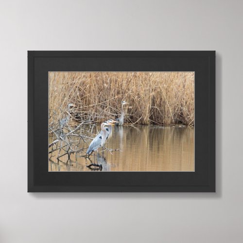 Great Blue Herons Waterscape Poster