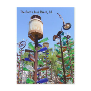 Great Bottle Tree Ranch Postcard! Postcard