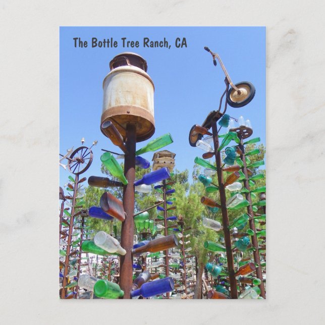Great Bottle Tree Ranch Postcard! Postcard (Front)