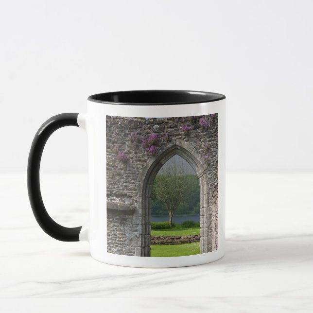 Great Britain, United Kingdom, Scotland. Ruins Mug (Left)