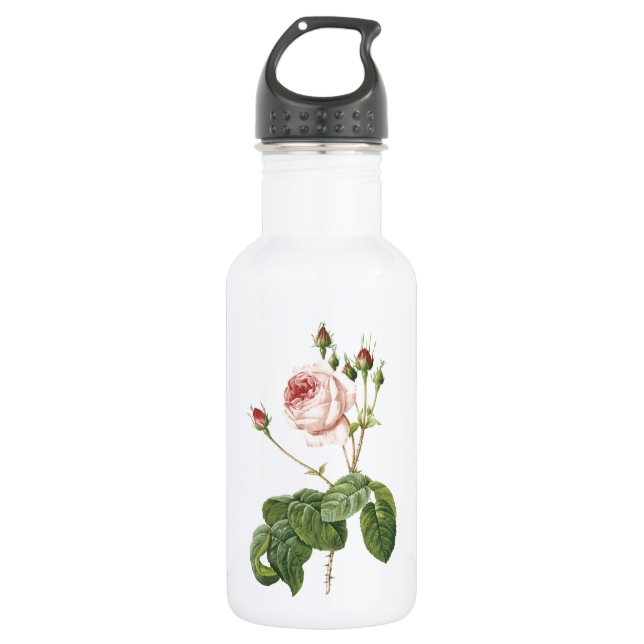 great cabbage-leaved rose by Redouté Water Bottle (Front)