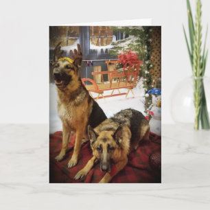 GREAT CARD FOR ANY WHO CARES FOR YOUR DOG