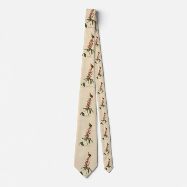 Great Carolina Wren - Audubon's Birds of America Neck Tie (Front)