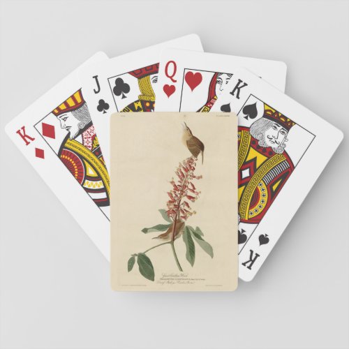 Great Carolina Wren _ Audubons Birds of America Poker Cards