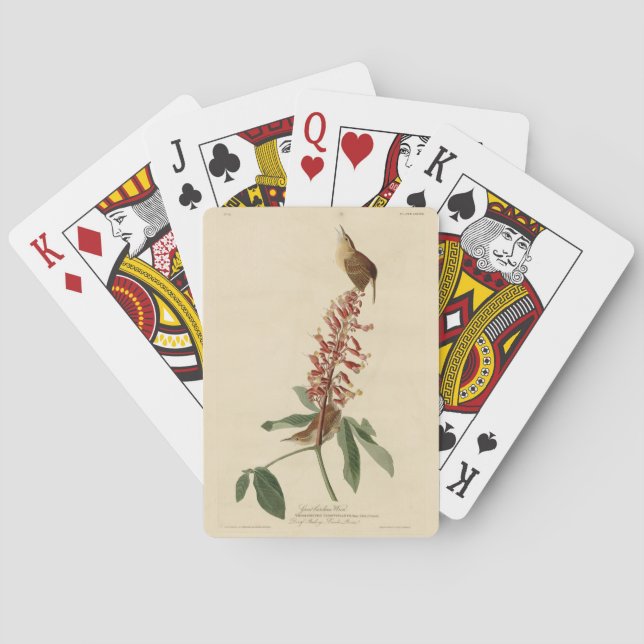 Great Carolina Wren - Audubon's Birds of America Poker Cards (Back)