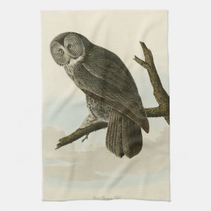Great Cinereous Owl from Audubon Birds of America Kitchen Towel