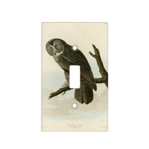 Great Cinereous Owl from Audubon Birds of America Light Switch Cover