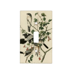Great Cinereous Shrike - Audubon Birds of America Light Switch Cover