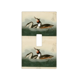 Great Crested Grebe - Audubon's Birds of America Light Switch Cover