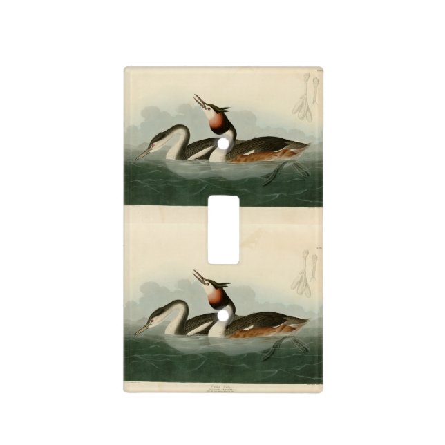 Great Crested Grebe - Audubon's Birds of America Light Switch Cover (Front)