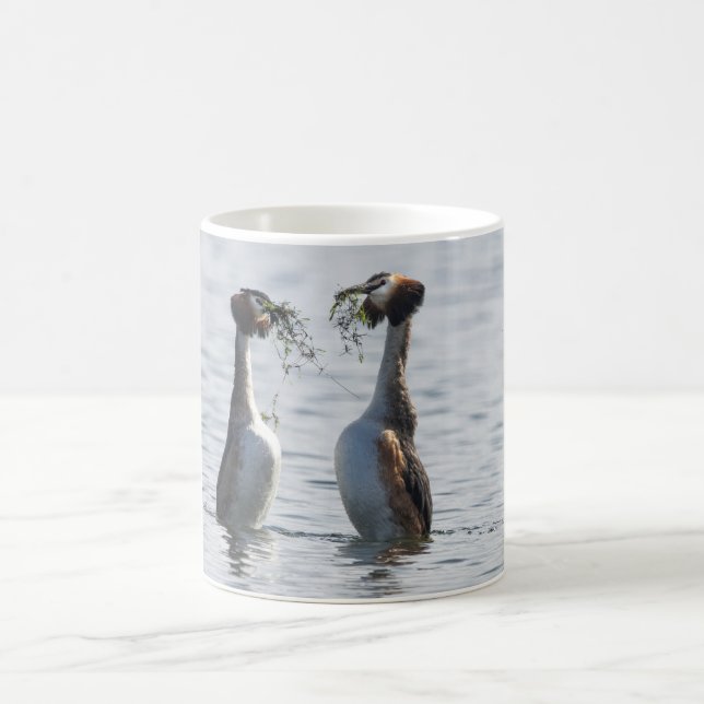 Great Crested Grebe Mug (Center)