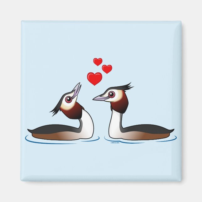 Great Crested Grebes in Love Magnet (Front)