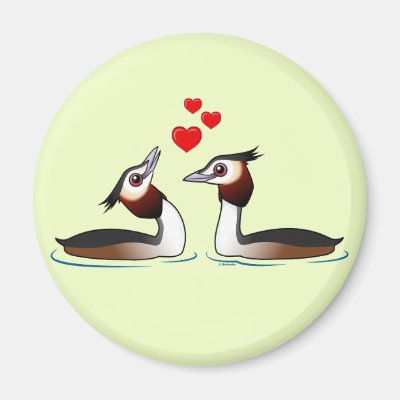 Great Crested Grebes in Love Magnet