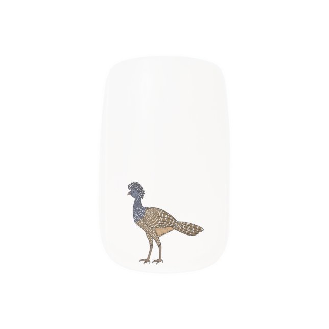 Great curassow bird cartoon illustration  minx nail art (Left Thumb)