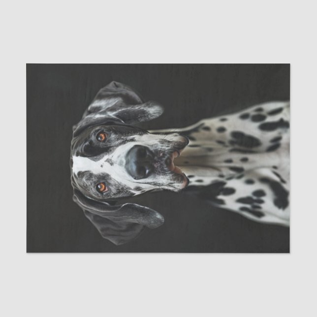 Great Dane3 Tissue Paper (Front)