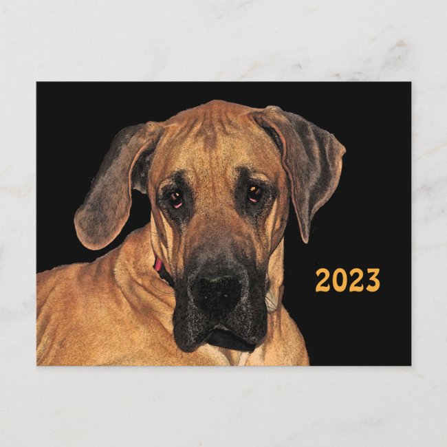Great Dane 2023 Calendar on Back Animal Postcard