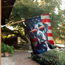 Great Dane 4th of July Independence day