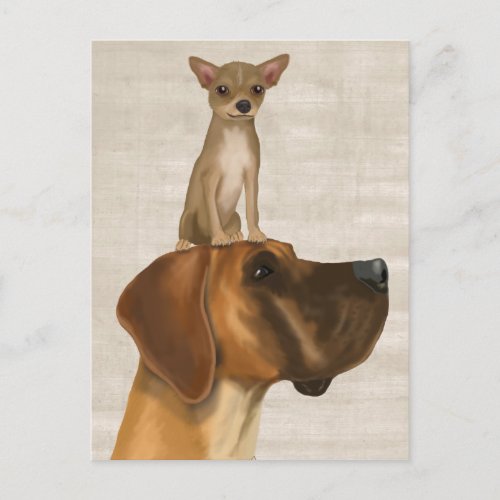 Great Dane and Chihuahua 2 Postcard