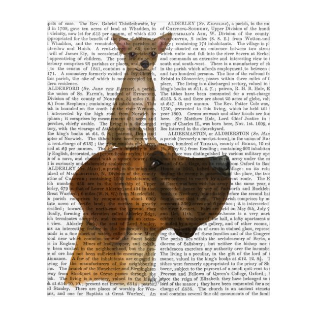 Great Dane and Chihuahua Acrylic Print (Front)