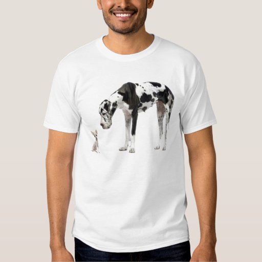 Great Dane and Chihuahua T-Shirt | Zazzle