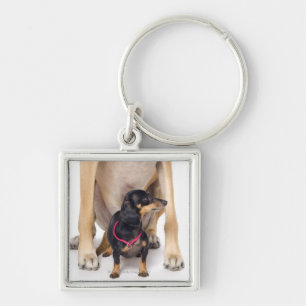 Great Dane and Dachshund portrait Keychain