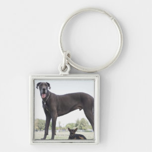 Great dane and small mixed-breed dog keychain