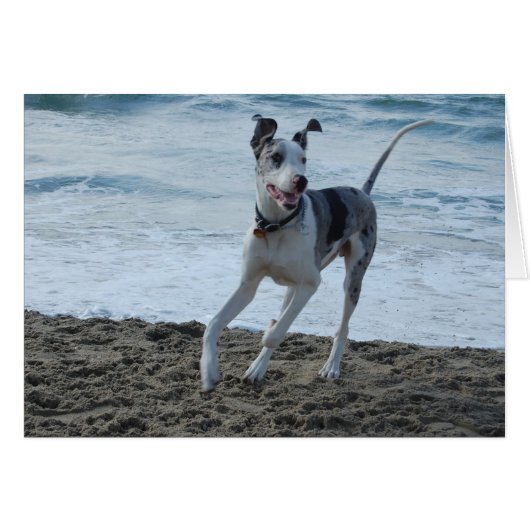 Great Dane at beach Cards (Front Horizontal)