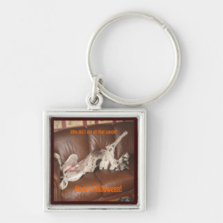Great Dane Ate Too Much Halloween Candy Keychain