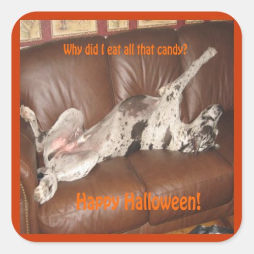 Great Dane Ate Too Much Halloween Candy Square Sticker