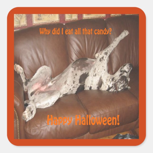 Great Dane Ate Too Much Halloween Candy Square Sticker (Front)