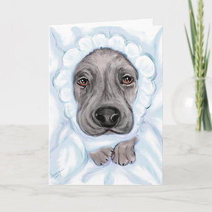 Great Dane Baby Black Boy Announcements