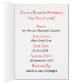 Great Dane Baby Mantled Merle Girl Announcements (Inside (Right))