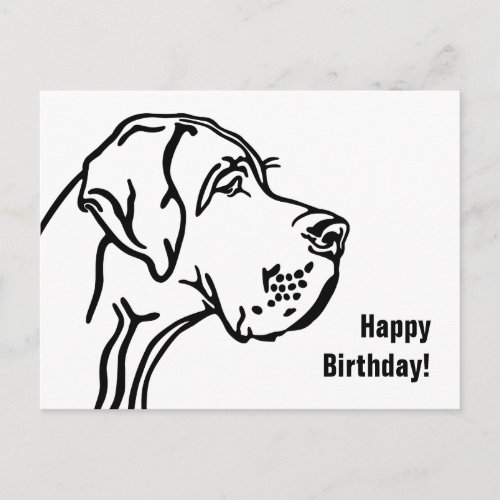 Great Dane Birthday Postcard