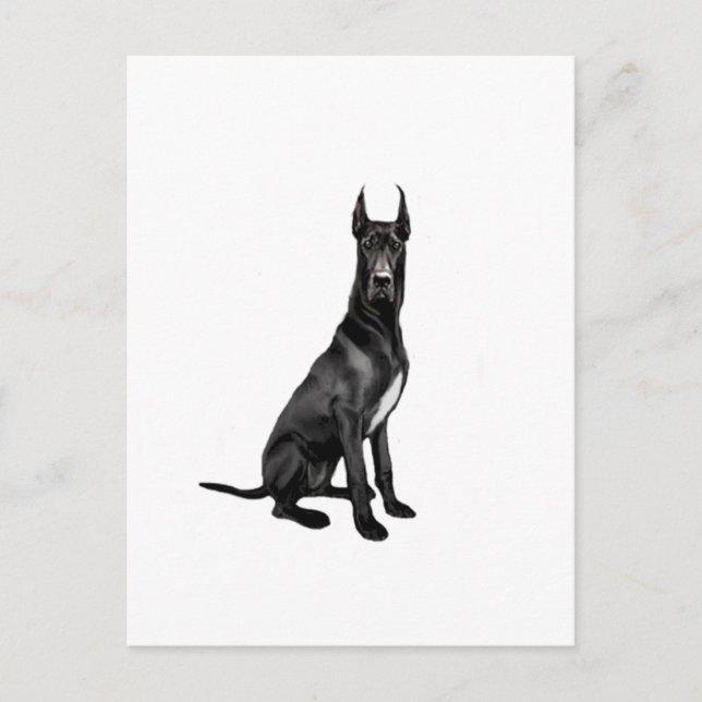 Great Dane - Black (cropped ears) Postcard (Front)