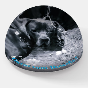 Great Dane blue Paperweight