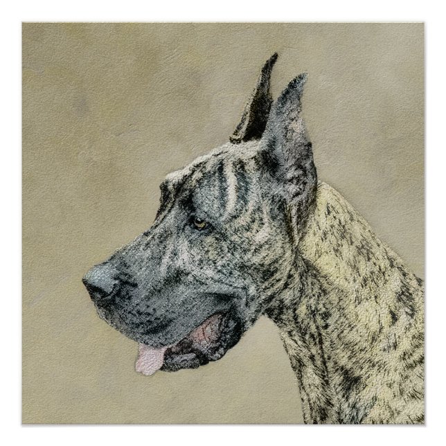 Great Dane (Brindle) Painting - Original Dog Art Poster (Front)