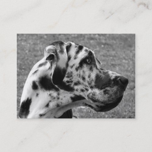 GREAT DANE BUSINESS CARDS