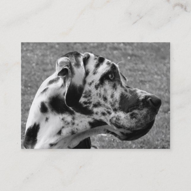 GREAT DANE BUSINESS CARD (Front)