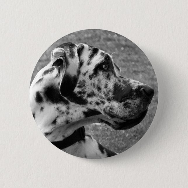 GREAT DANE BUTTON (Front)